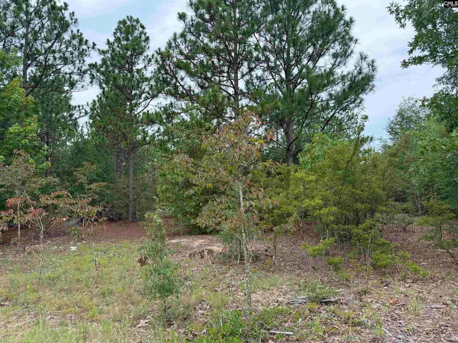 Near 615 Browns Pond Road, Wagener, SC 29164 - #3