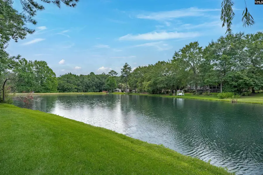 108 Inverness Drive, Lexington, SC 29072 - #2