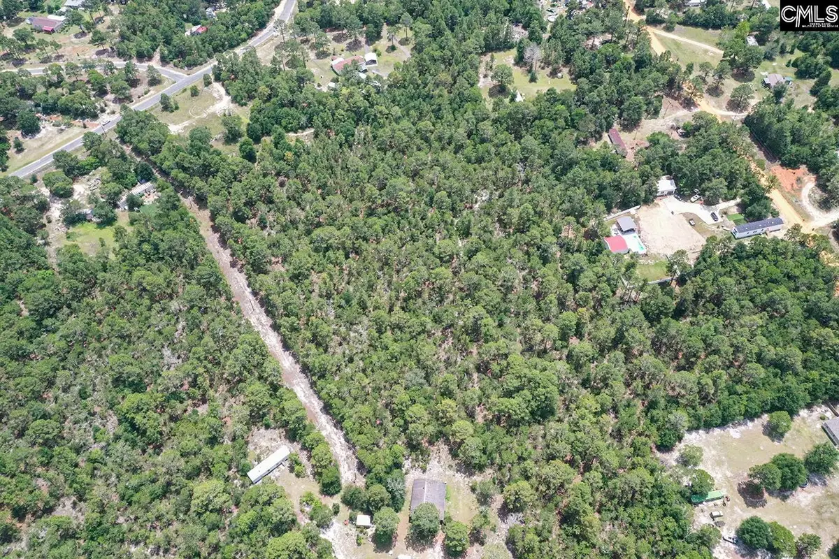 755 Bush Berry Road, Pelion, SC 29123 - #1