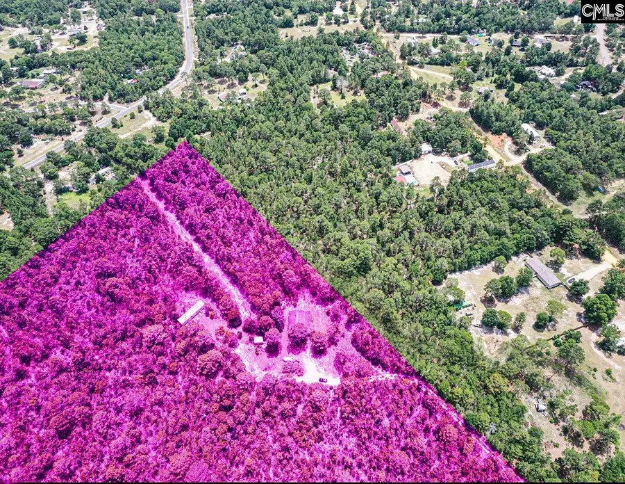755 Bush Berry Road, Pelion, SC 29123 - #3
