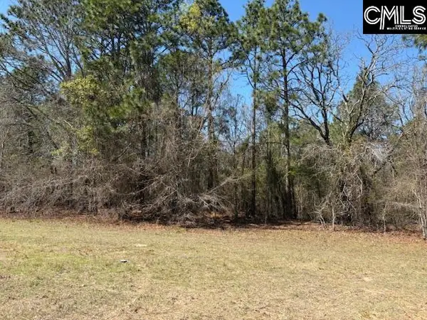 0 Marcellus Road, Leesville, SC 29070