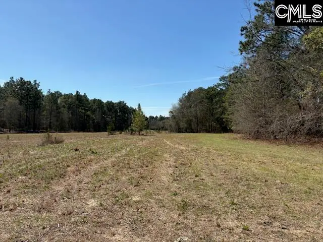 0 Marcellus Road, Leesville, SC 29070 - #2
