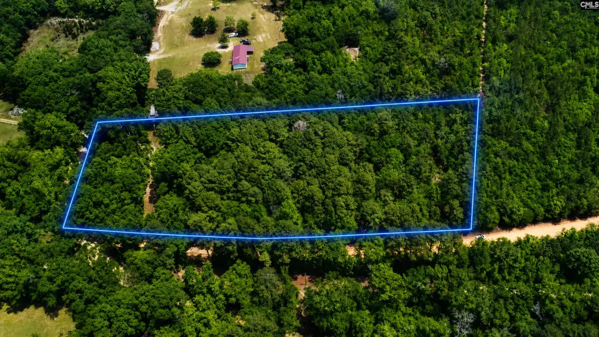 1091 Pine Grove Road, Leesville, SC 29006 - #1