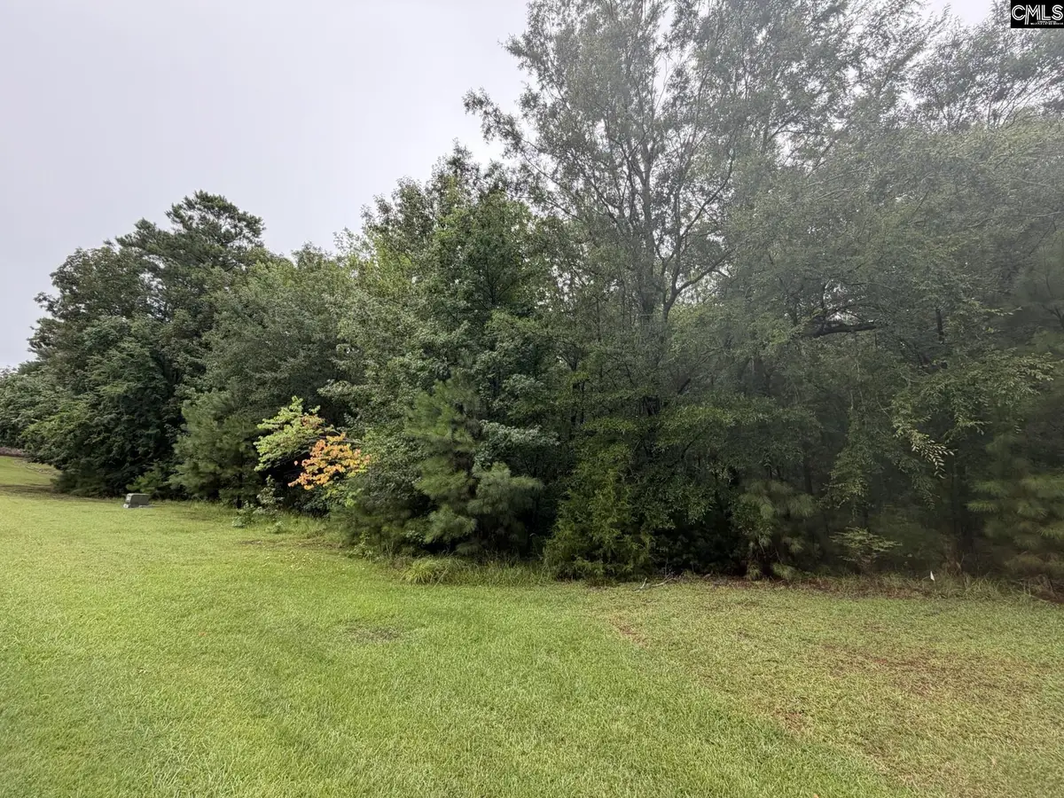 Lot 62 Harbor View Drive, Prosperity, SC 29127 - #1