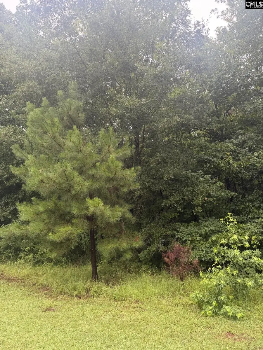 Lot 62 Harbor View Drive, Prosperity, SC 29127 - #2