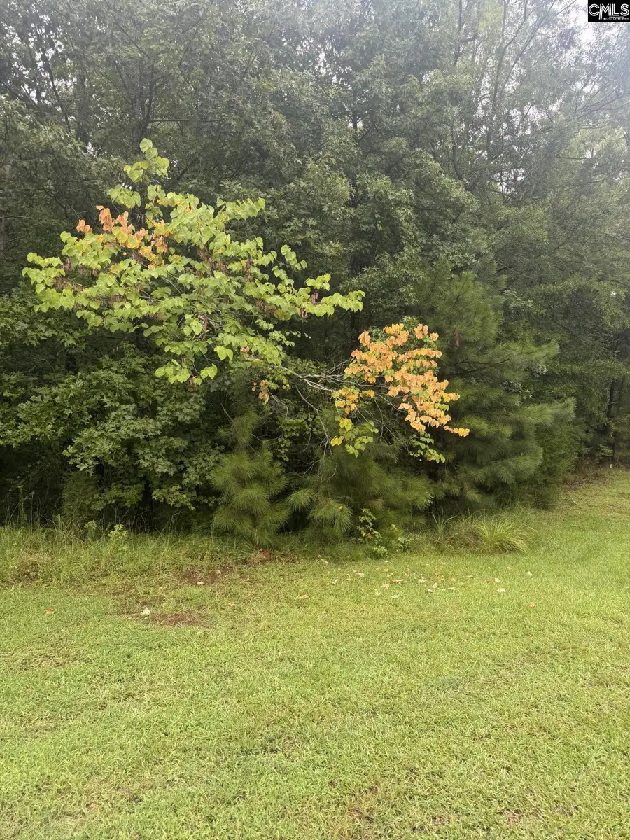 Lot 62 Harbor View Drive, Prosperity, SC 29127 - #3