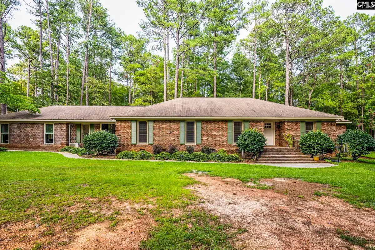 121 Deer Tract Drive, Little Mountain, SC 29075 - #1