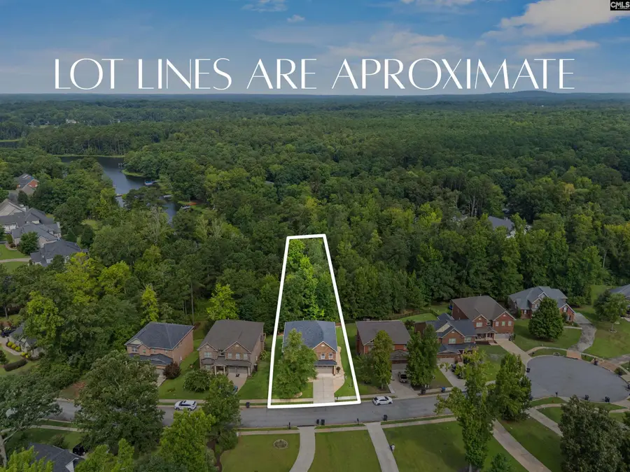 357 Bent Oak Drive, Chapin, SC 29036 - #2