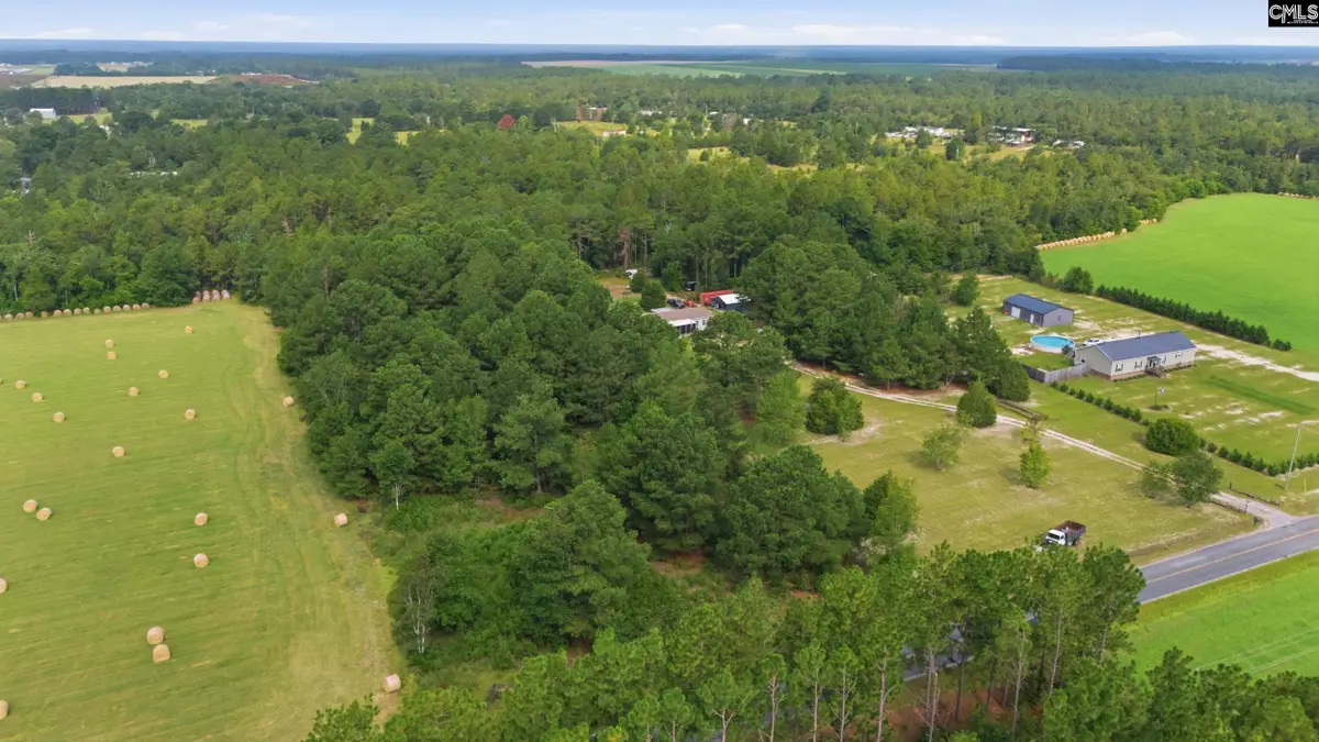 3164 Neely Wingard Road, Leesville, SC 29070 - #1