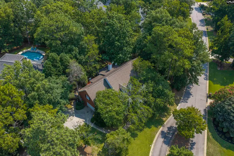 200 Wild Azalea Court, Lexington, SC 29072 - #3
