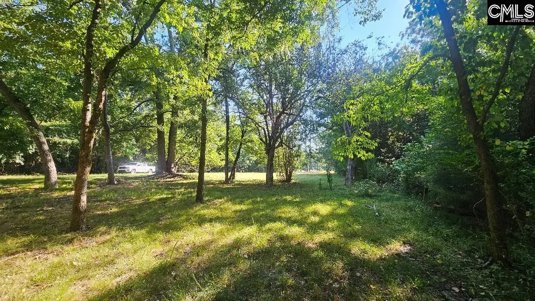142 Crystal Creek Cr, Chapin, SC 29036 - #1