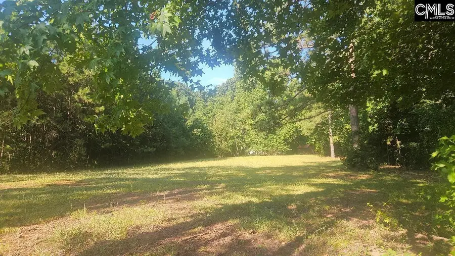 142 Crystal Creek Cr, Chapin, SC 29036 - #2