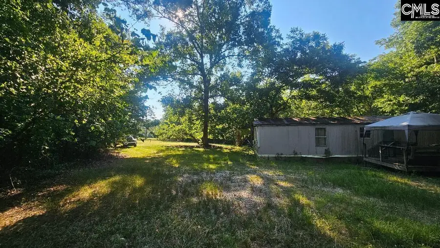 142 Crystal Creek Cr, Chapin, SC 29036 - #3