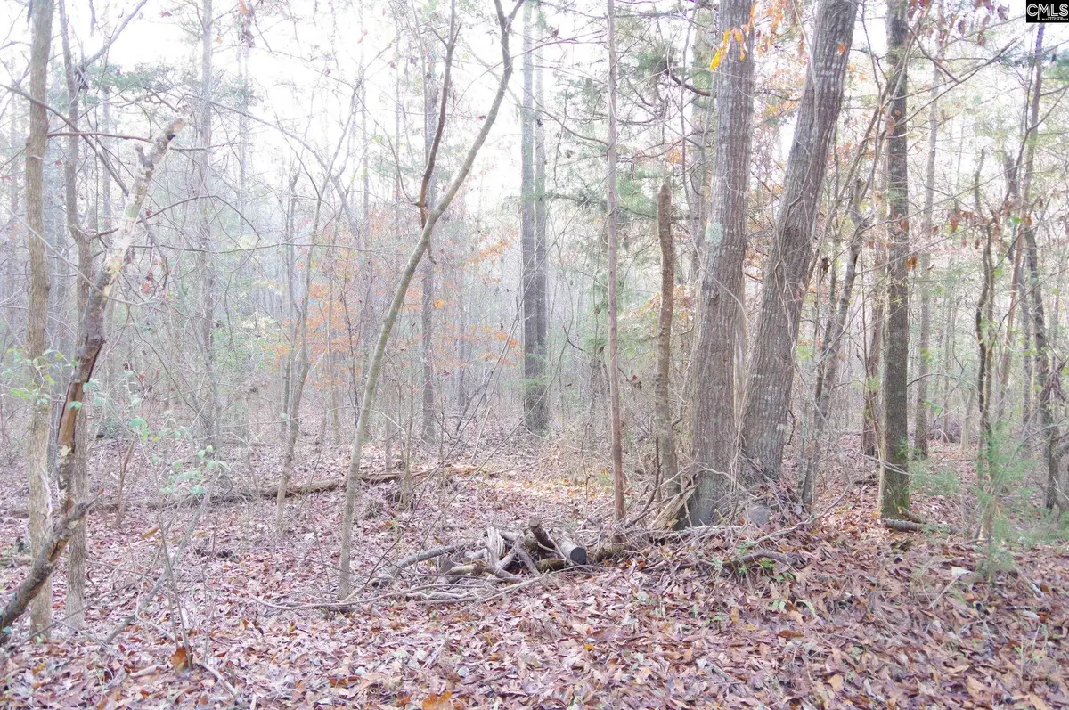 133 Archway Court, Little Mountain, SC 29075 - #1