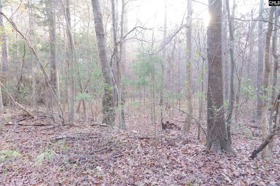 133 Archway Court, Little Mountain, SC 29075 - #2