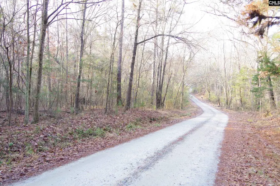 133 Archway Court, Little Mountain, SC 29075 - #3