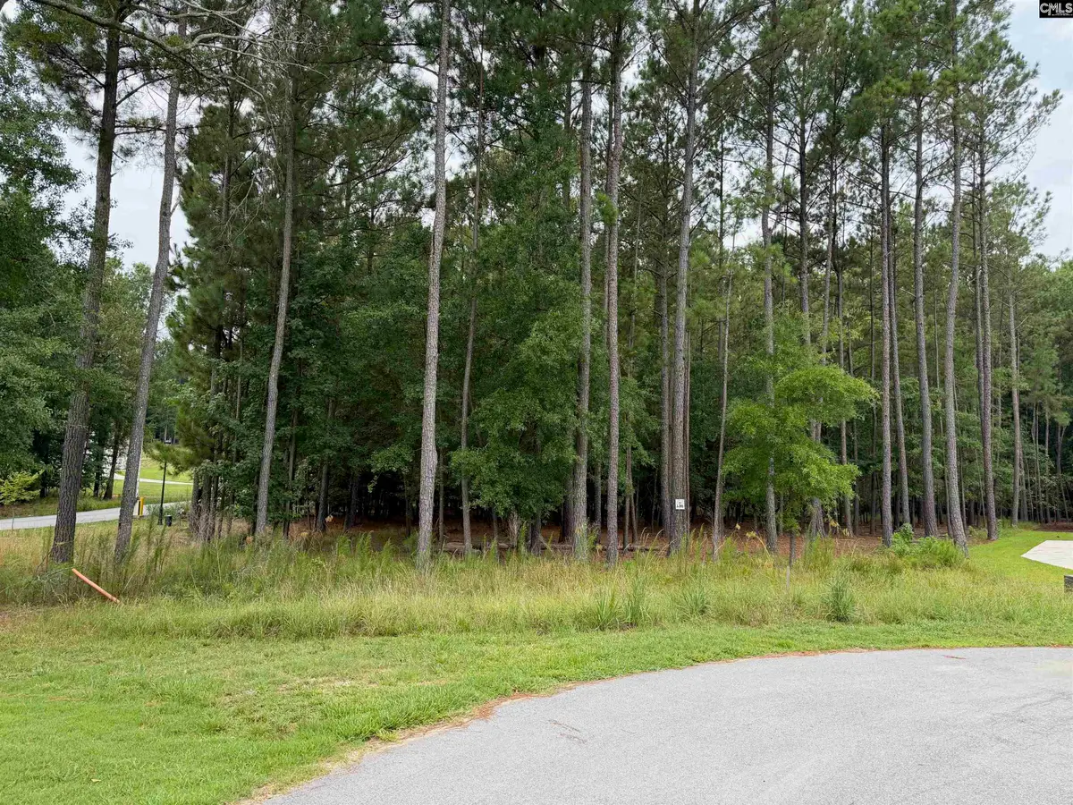 Lot 136 Stewart Landing Drive, Prosperity, SC 29167 - #1