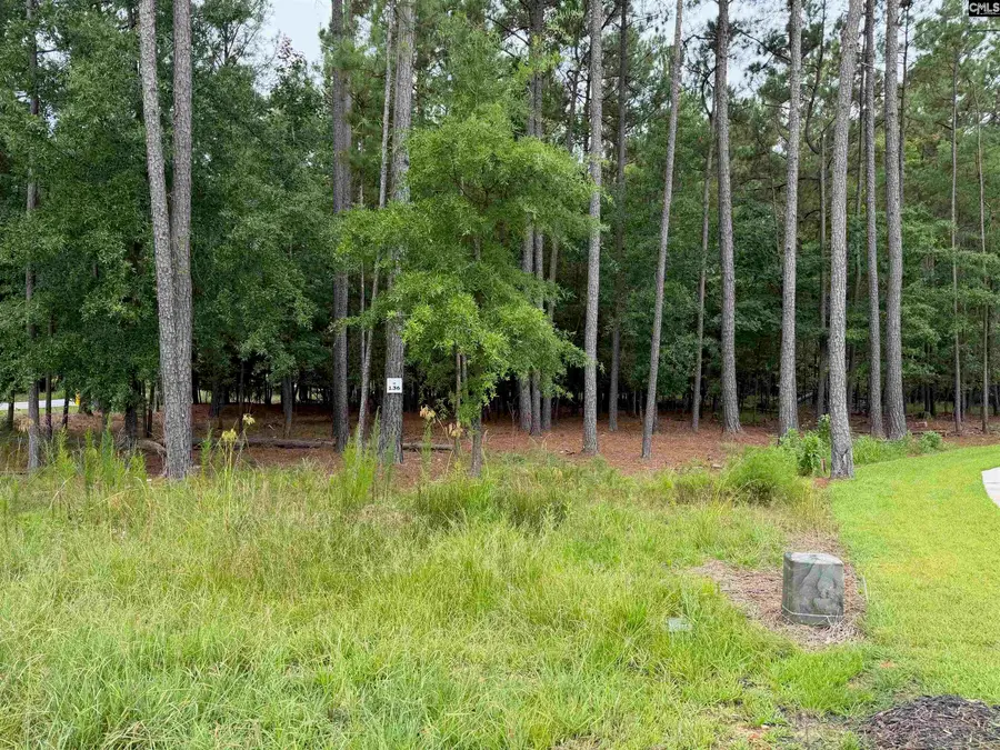 Lot 136 Stewart Landing Drive, Prosperity, SC 29167 - #3