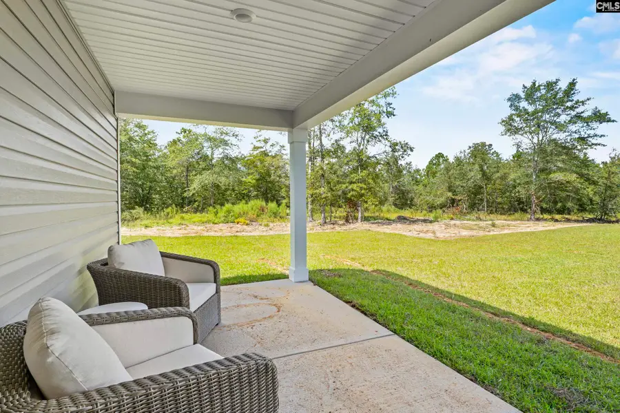 168 Calm Citadel Drive, Pelion, SC 29123 - #3