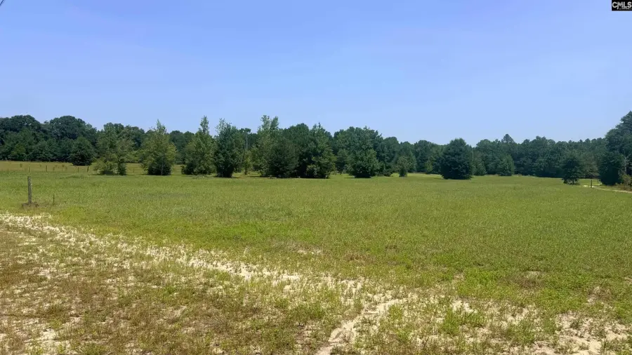 00 Poinsettia Road, Wagener, SC 29164 - #2