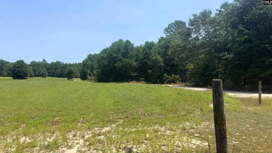 00 Poinsettia Road, Wagener, SC 29164 - #3