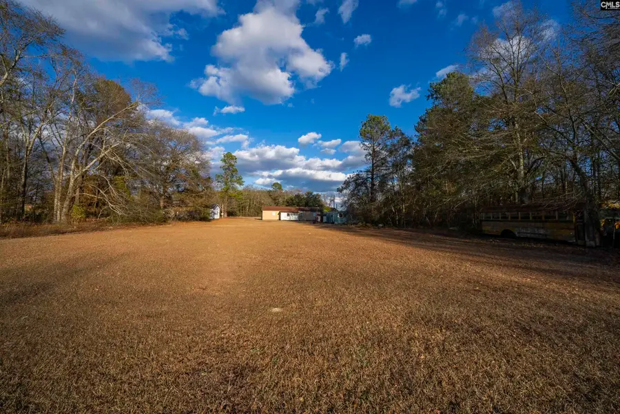248 Henry Road, Neeses, SC 29107 - #3