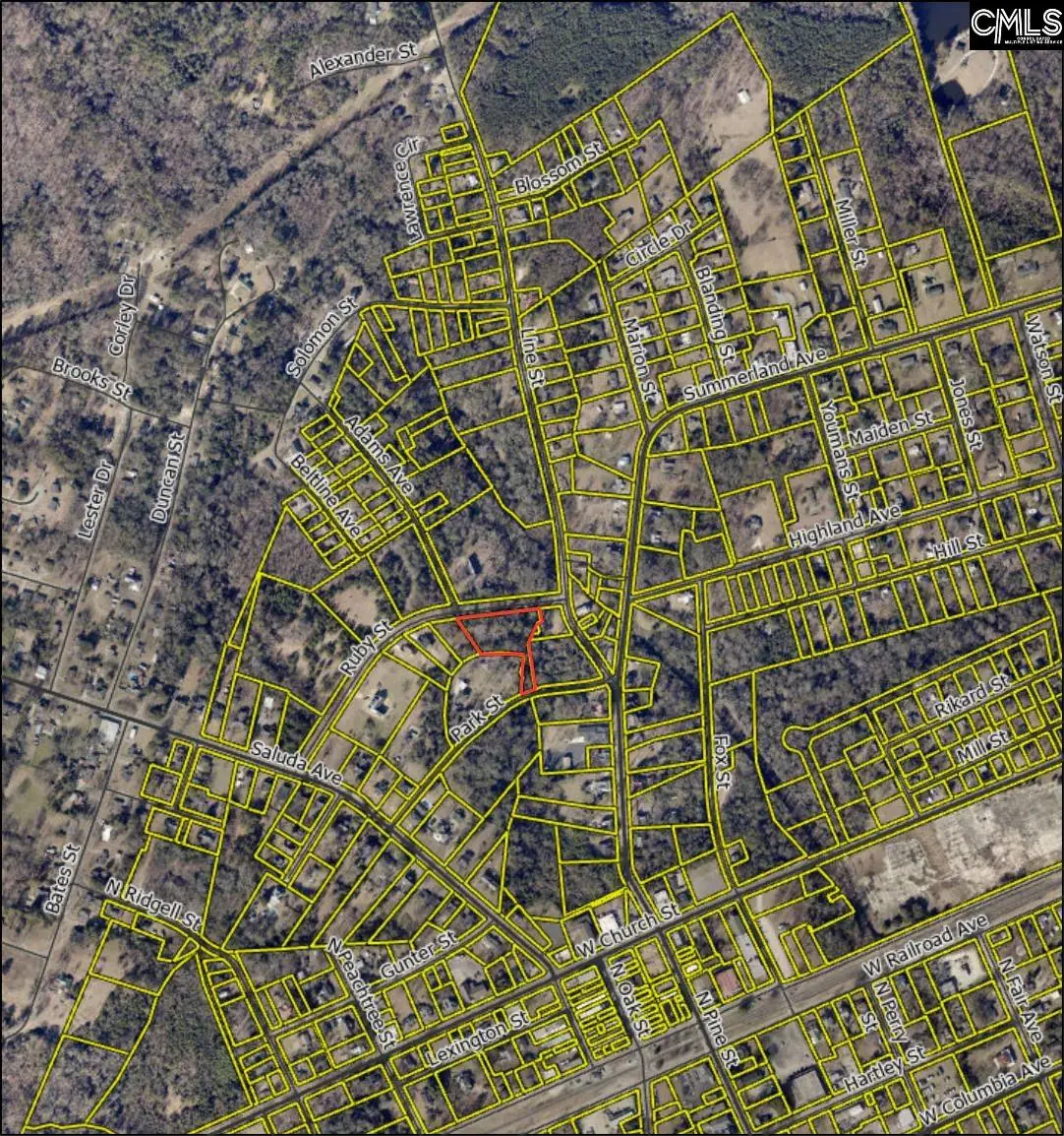 520 Ruby Street, Batesburg, SC 29006 - #1