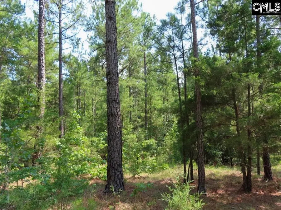 0 Landis Road, Winnsboro, SC 29180 - #2