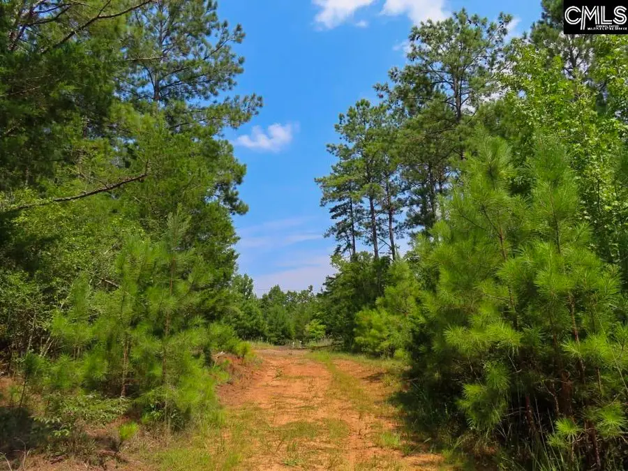 0 Landis Road, Winnsboro, SC 29180 - #3