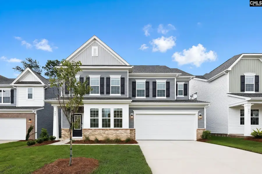 247 Foxglade Drive, Gilbert, SC 29054 - #2
