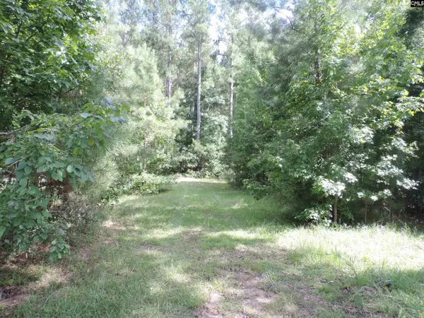 Wilkerson Road, Whitmire, SC 29178