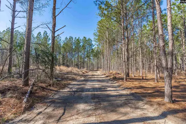 Lot #1 Fairview Road #008200-07-010, Batesburg, SC 29006
