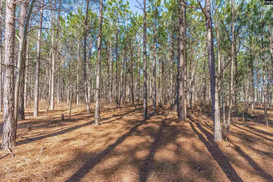 Lot #5 Fairview Road #008200-07-010, Batesburg, SC 29006 - #3