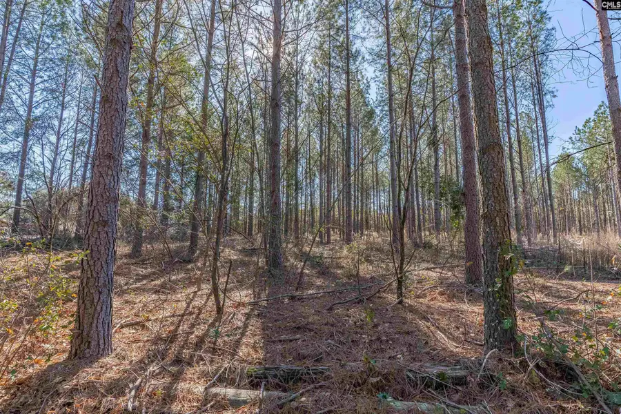 Lot #7 Fairview Road #008200-07-010, Batesburg, SC 29006 - #3