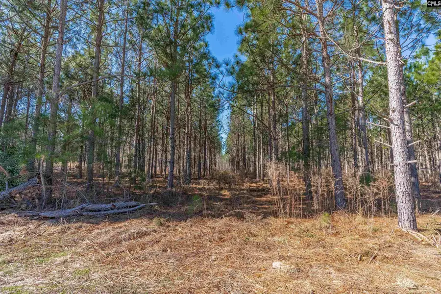 Lot #6 Fairview Road #008200-07-010, Batesburg, SC 29006 - #3