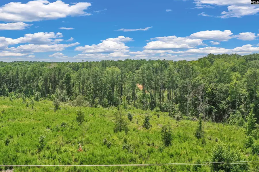 0000 Hwy 215 #5, Jenkinsville, SC 29065 - #3