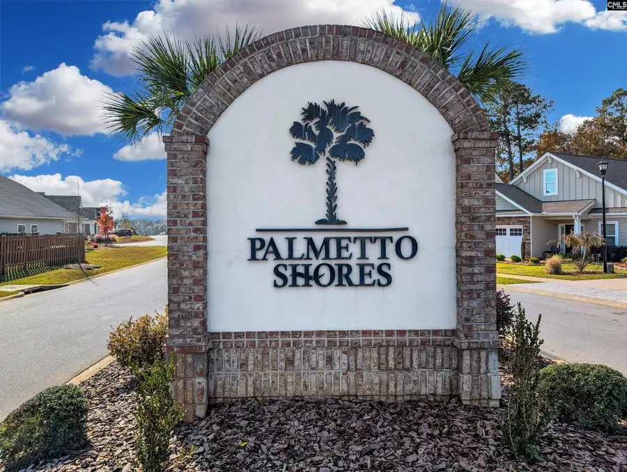 1241 Danvers Lane, Chapin, SC 29036 - #2
