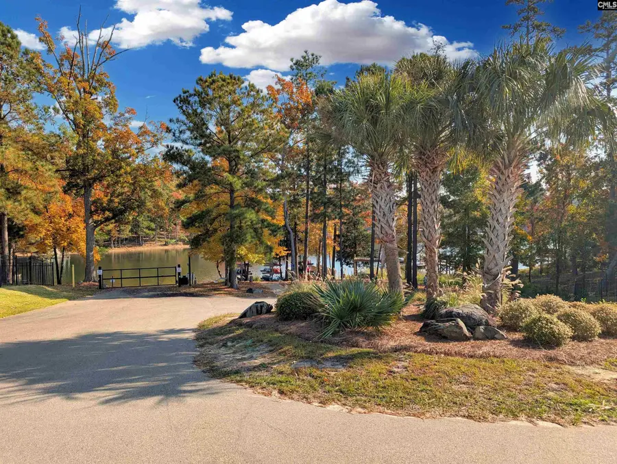 1241 Danvers Lane, Chapin, SC 29036 - #3