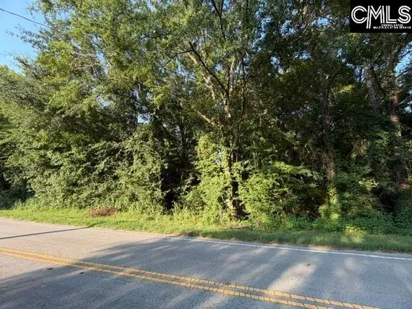 0 Old Jollystreet Road, Newberry, SC 29108