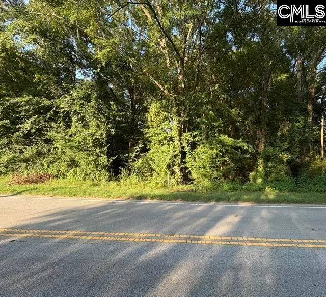 0 Old Jollystreet Road, Newberry, SC 29108 - #3