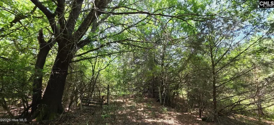 105 Acres Chestnut Ridge Road, McCormick, SC 29835 - #2