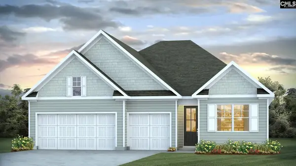 225 Sunny Stream Drive, Chapin, SC 29054