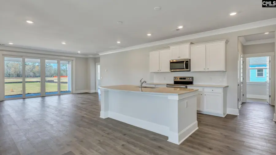 225 Sunny Stream Drive, Chapin, SC 29054 - #2