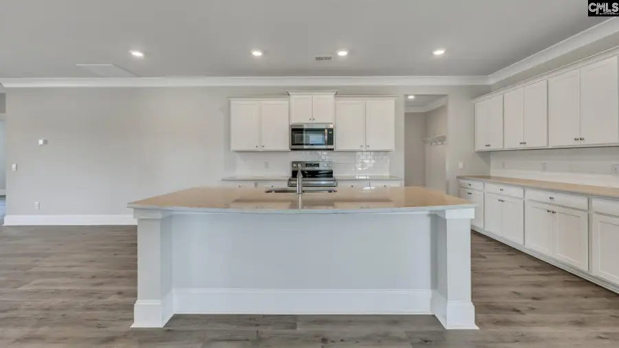 225 Sunny Stream Drive, Chapin, SC 29054 - #3