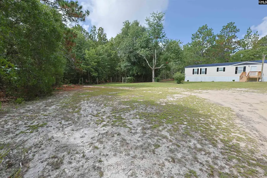 141 Casper Street, Pelion, SC 29123 - #2