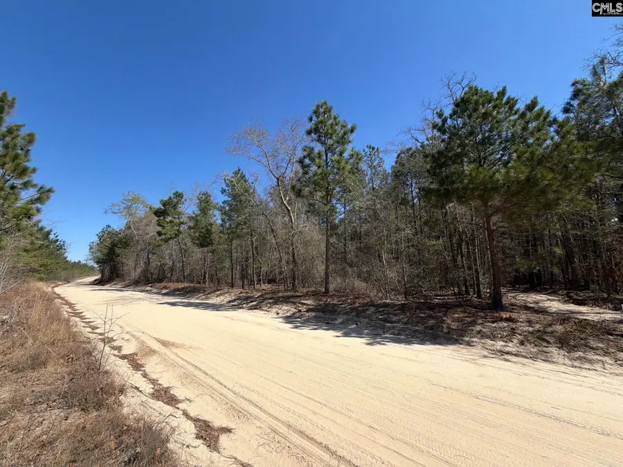 BHL 15 Boise Cascade Road, Bethune, SC 29009 - #3
