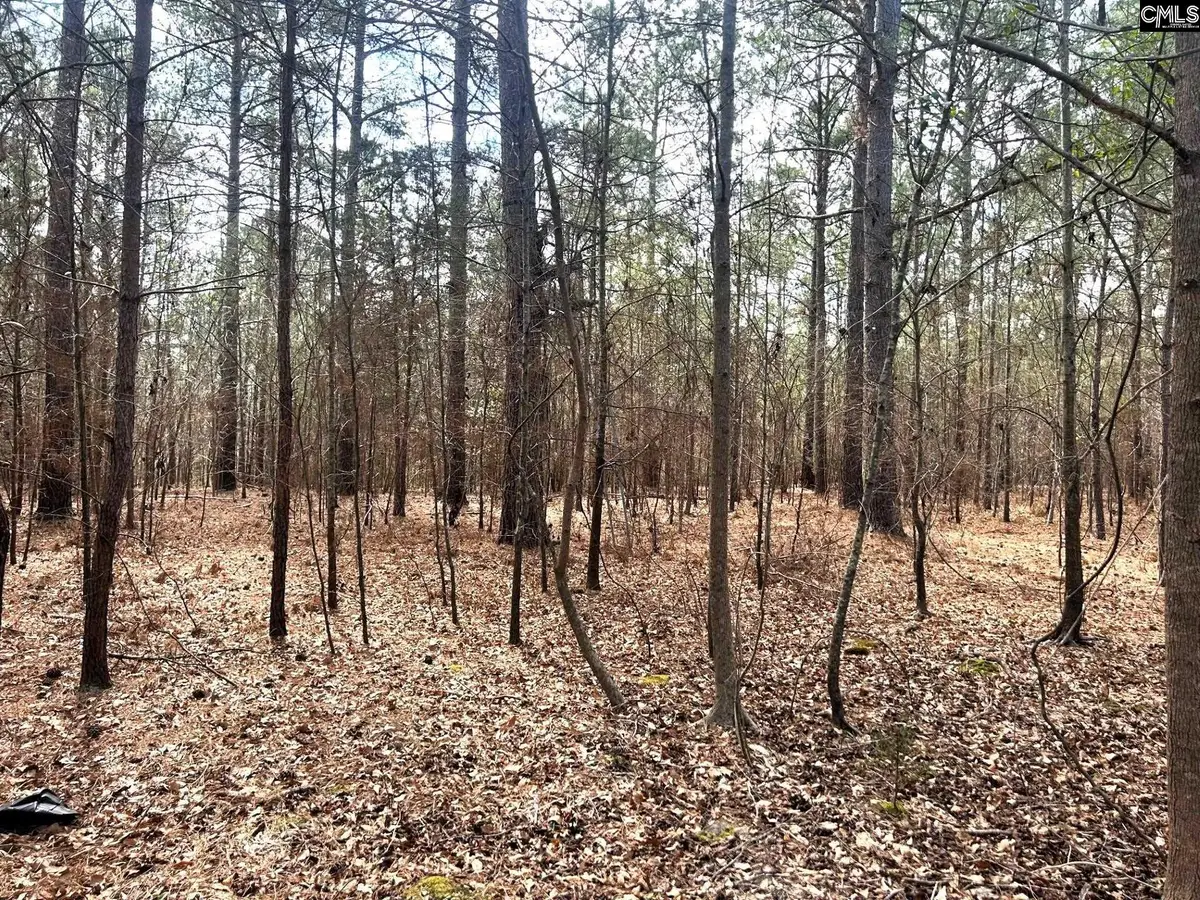 TBD A Old Dutch Road, Little Mountain, SC 29075 - #1