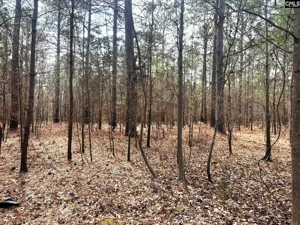 TBD A Old Dutch Road, Little Mountain, SC 29075