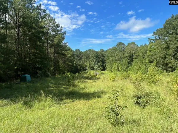 TBD C Old Dutch Road, Little Mountain, SC 29075
