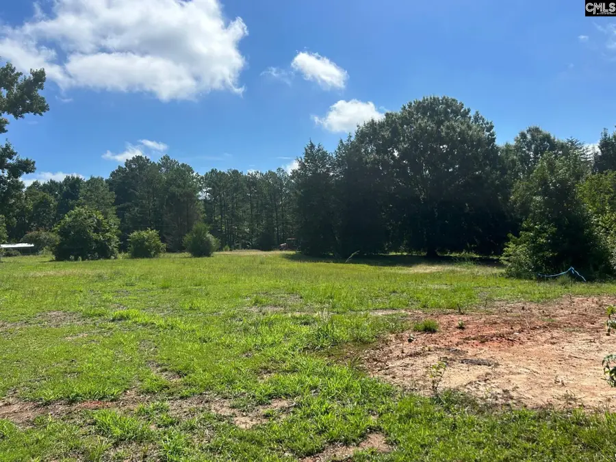 110 Bebe Way, Little Mountain, SC 29075 - #2